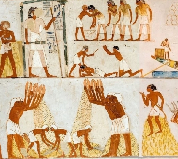 AFFRESCHI DELLA TOMBA DI MENNA - Nuovo Regno - Arte egizia